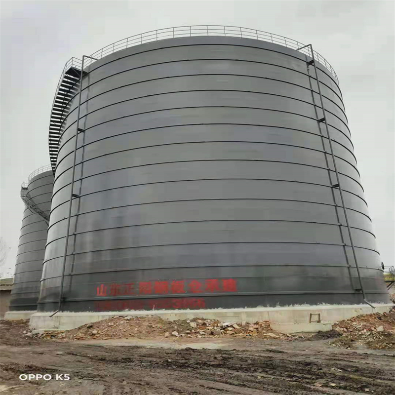 清丰3万吨大型钢板库