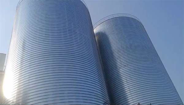 清丰2座混凝土高架卷板仓